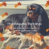 A Beautiful Thanksgiving Blessing [by Ralph Waldo Emerson]