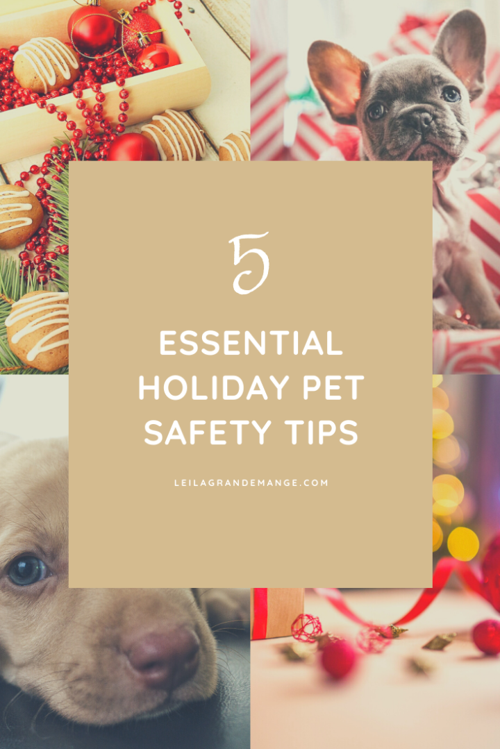 5 Essential Holiday Pet Safety Tips