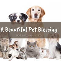 A Beautiful Pet Blessing