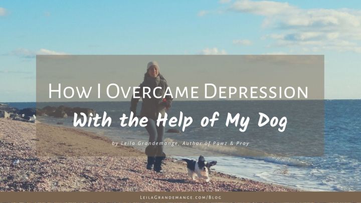 How I Overcame Depression With the Help of My Dogs! [Covid19 Encouragement]