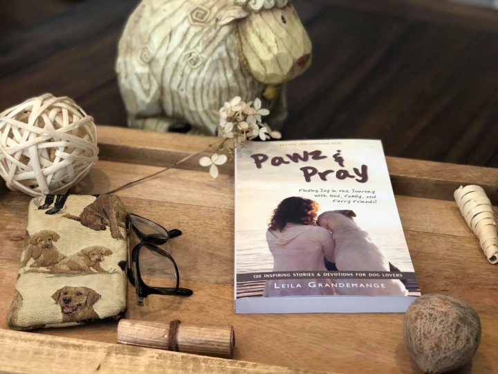 Slow Down to Pray [Dog Lover Devotions]