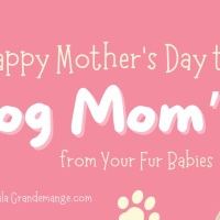 A Pawfect Mother's Day: A Letter from Fur Babies to Dog Moms